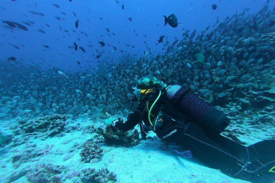 Boyle’s Law Scuba (7) La ley de Boyle en el buceo