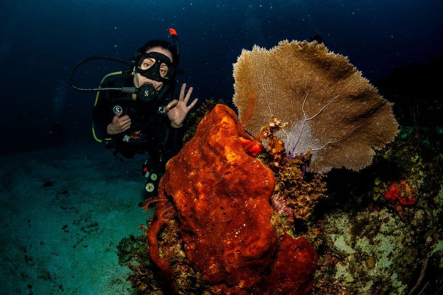 Deep water diving - buceo profundo - 5