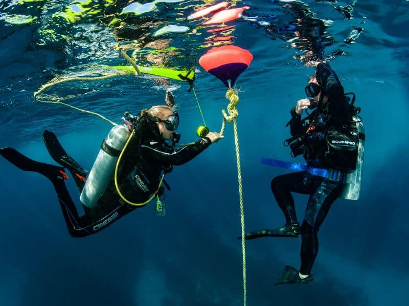 Difference between Snorkeling and Scuba Diving (6) diferencia entre snorkel y buceo