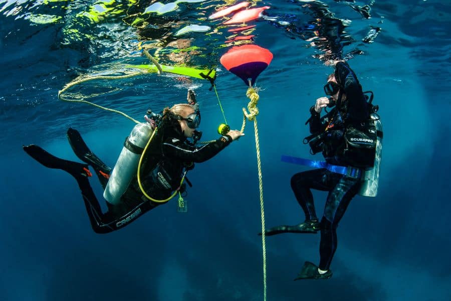 Diving time - Tiempo de buceo (2)