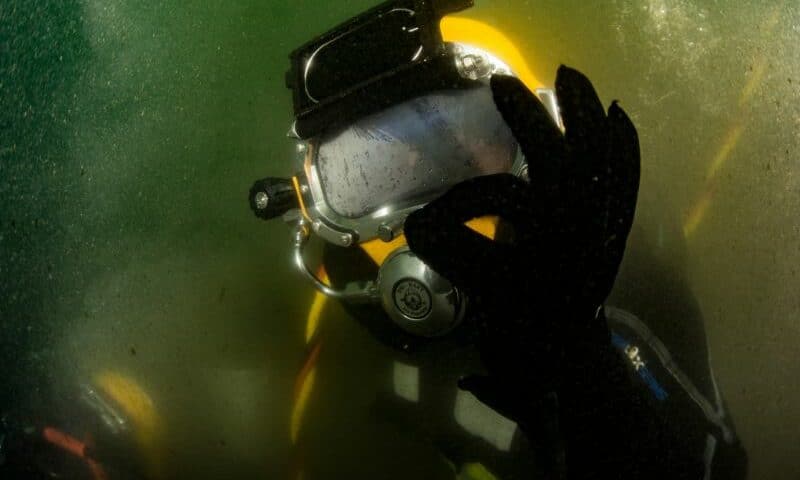 Low Visibility Diving (3) bucear con baja visibilidad