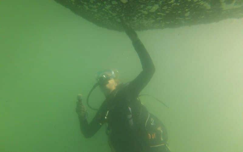 Low Visibility Diving (4) bucear con baja visibilidad