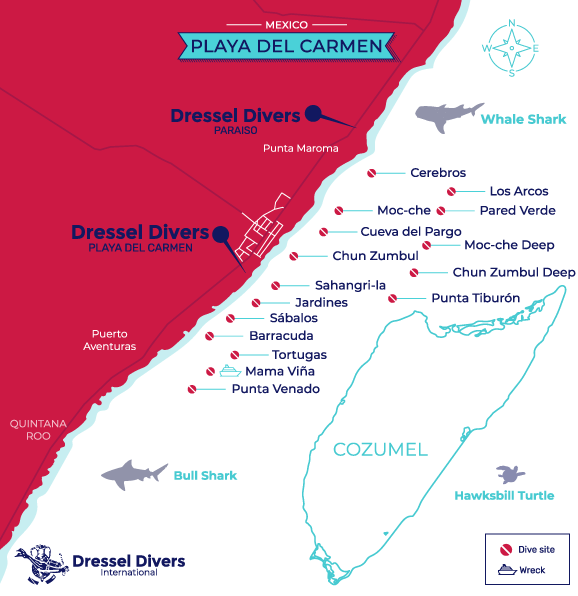 Scuba diving in PLAYA DEL CARMEN with Dressel Divers