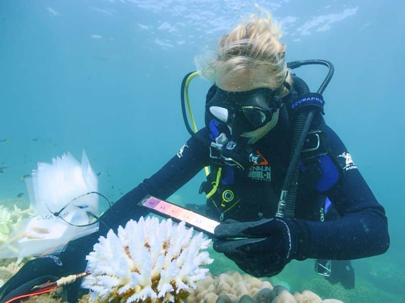 Marine Biology Diving (5) Eric Matson