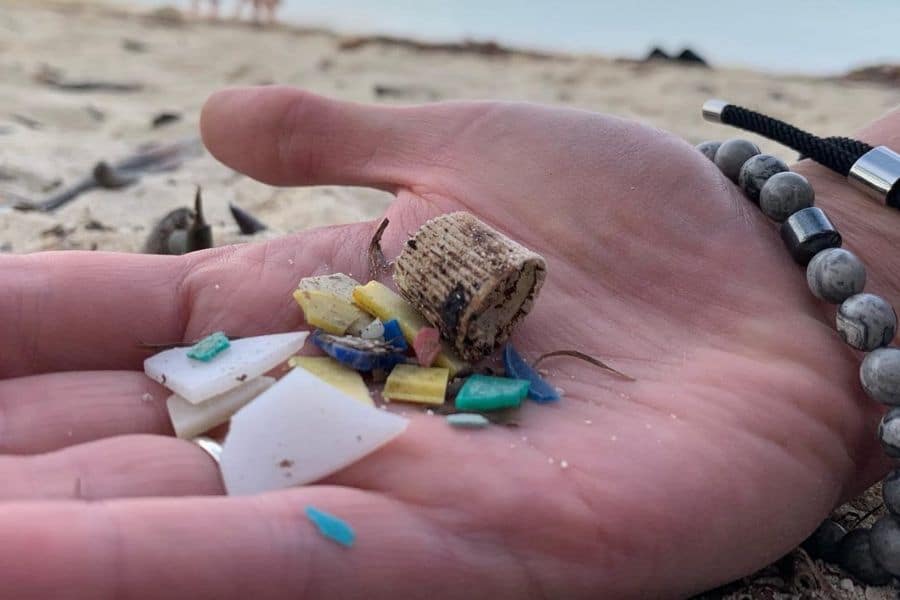 impact of Microplastics in the Ocean - 1 - el impacto de los microplásticos en el océano