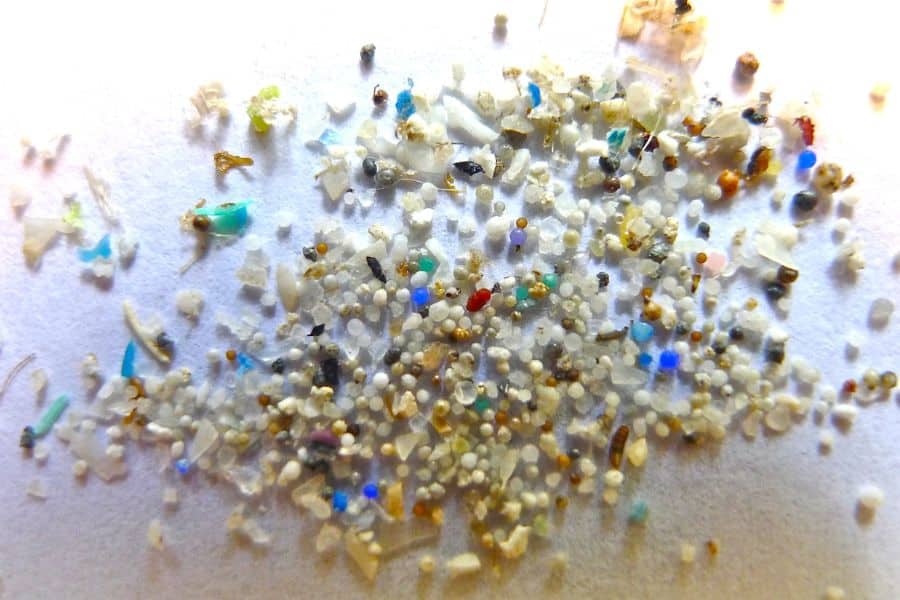 impact of Microplastics in the Ocean - 3 - el impacto de los microplásticos en el océano