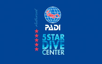 Unveiling the Dive World: Exploring the PADI 5 Star Centers – DesertDivers