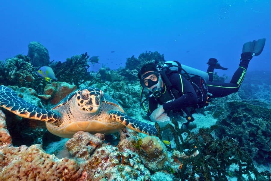 Palancar Reef - Arrecife Palancar (3)