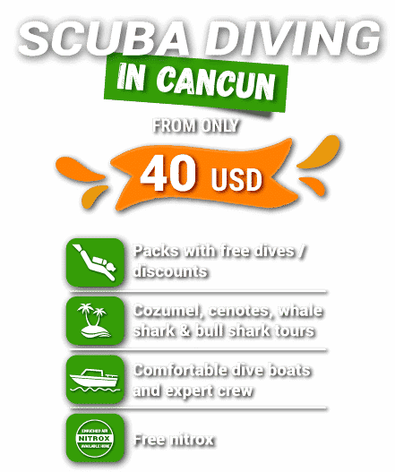 scuba diving cancun coupon code