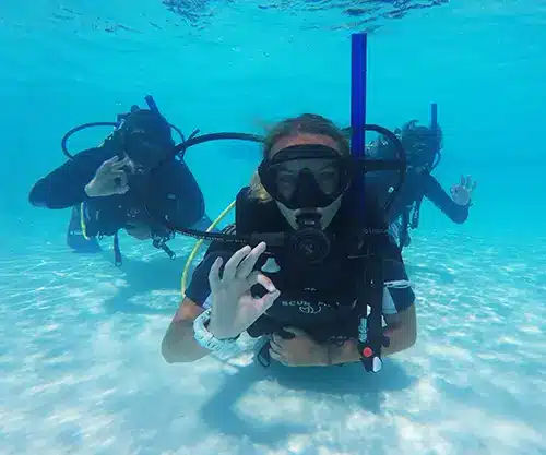 SDI and PADI Scuba Diving Courses FOR BEGINNERS