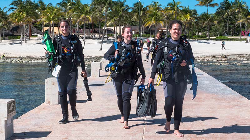 Scuba Diving Suit: Answers to All the Questions You Have About It
