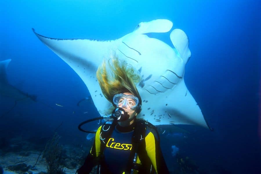 Underwater Naturalist (3) naturalista subacuático