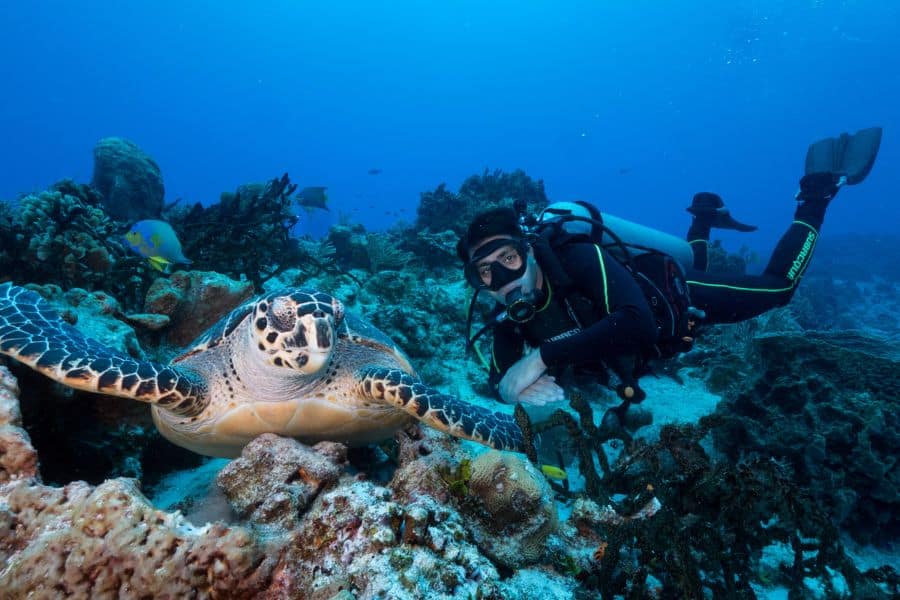 Underwater Naturalist (3) naturalista subacuático
