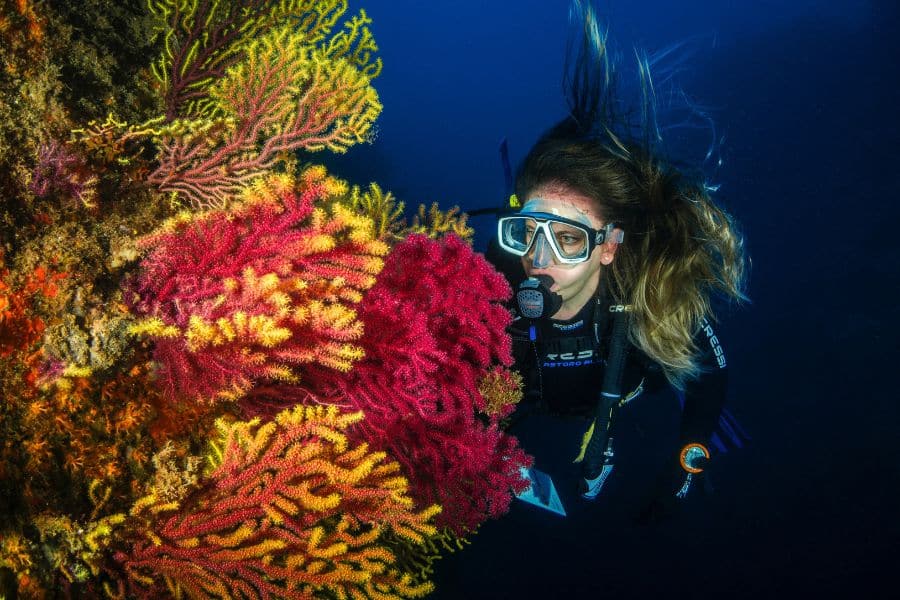 Underwater Naturalist (5) naturalista subacuático