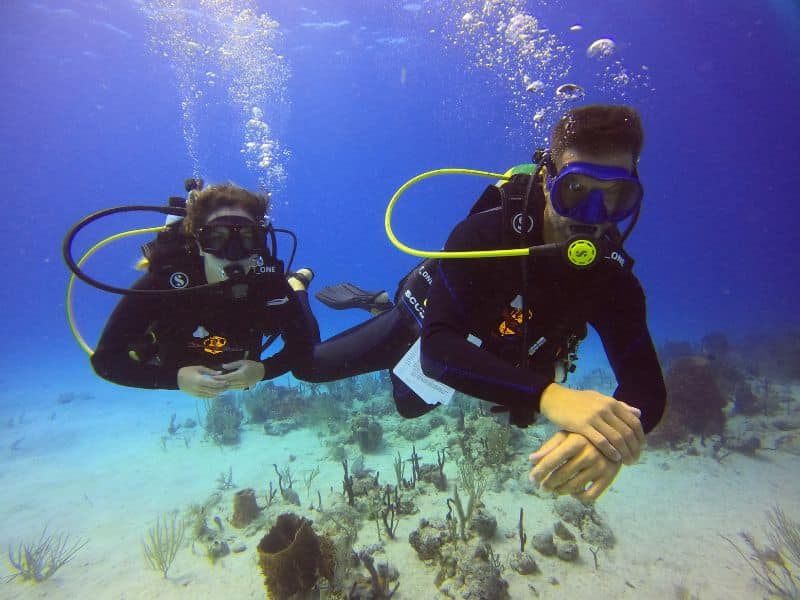 catalina boat tour for divers