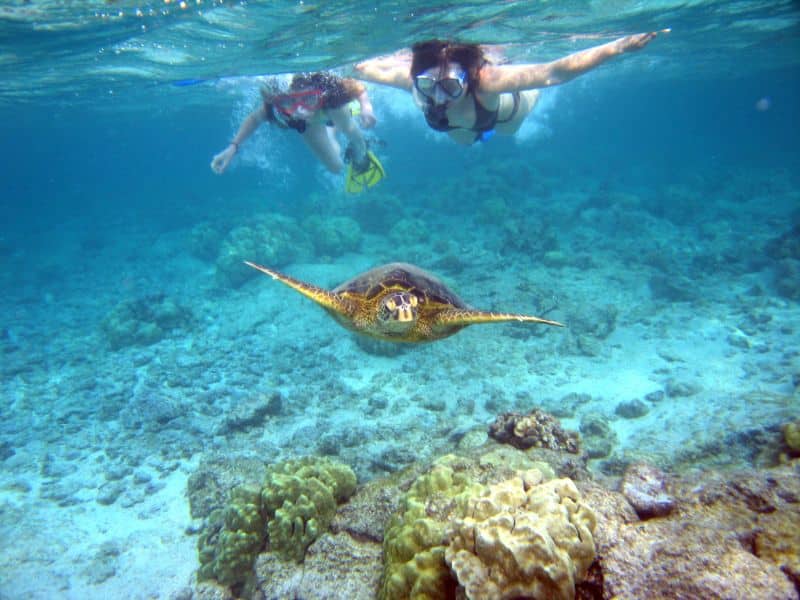 snorkel boat tour to catalina