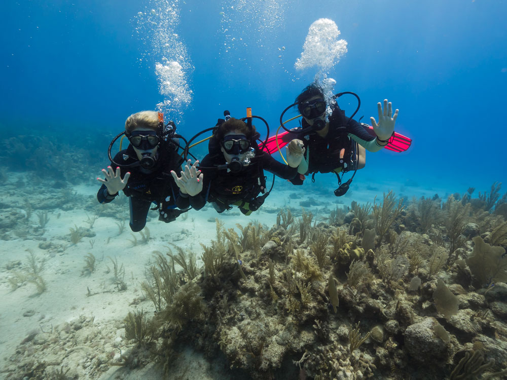 Get Scuba Certified: Everything You Need to Know.