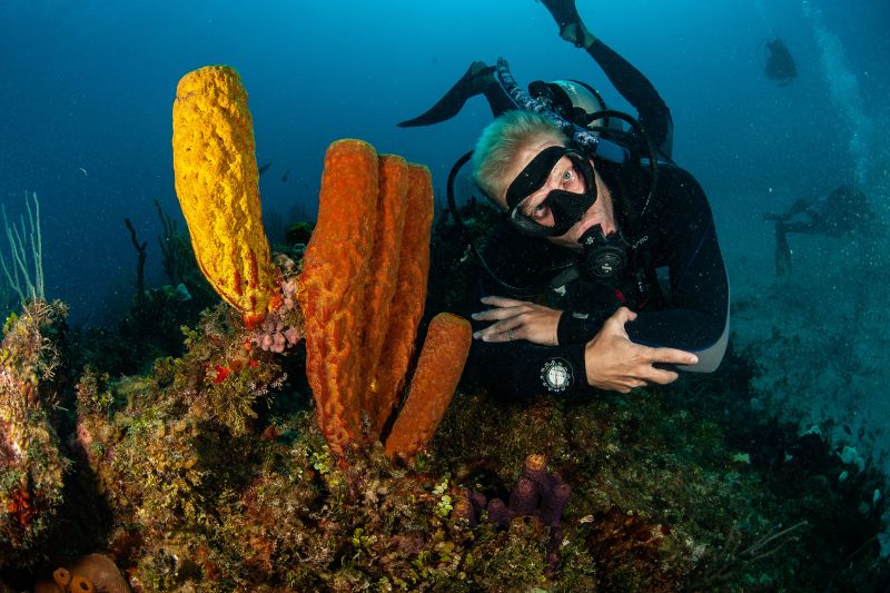 is scuba diving a sport (2) es el buceo un hobby