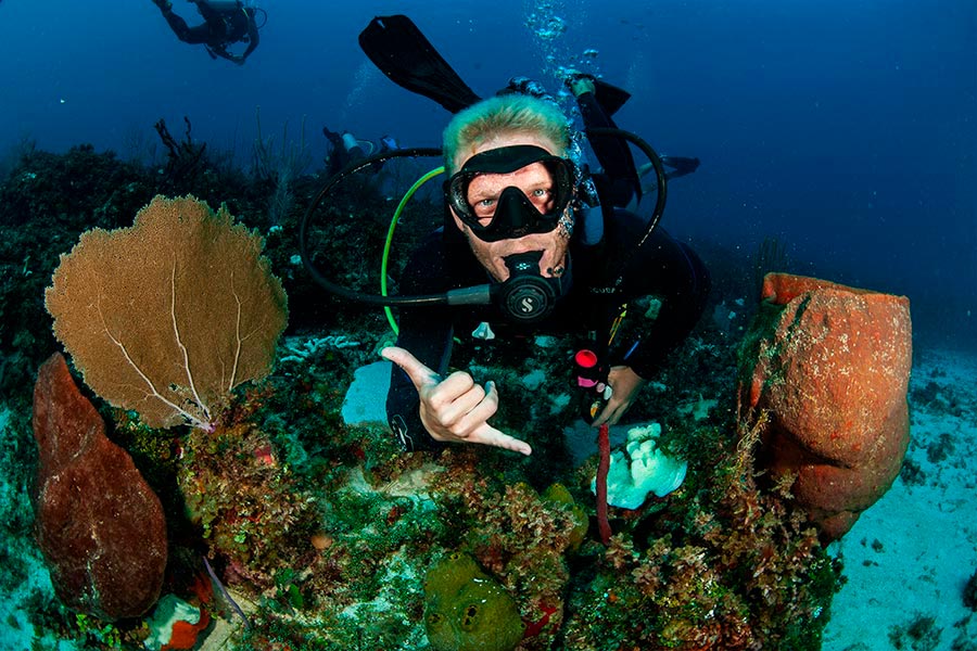 scuba divers paradise-jamaica - paraíso para buceadores