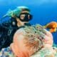 scuba diving bucket list (6) lista de deseos de buceo