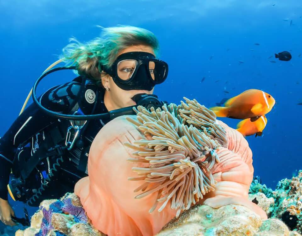 scuba diving bucket list (6) lista deseo buceo main