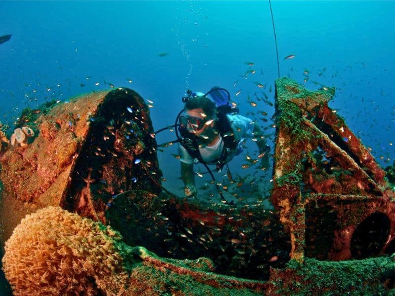 scuba diving cruises (1) cruceros de buceo