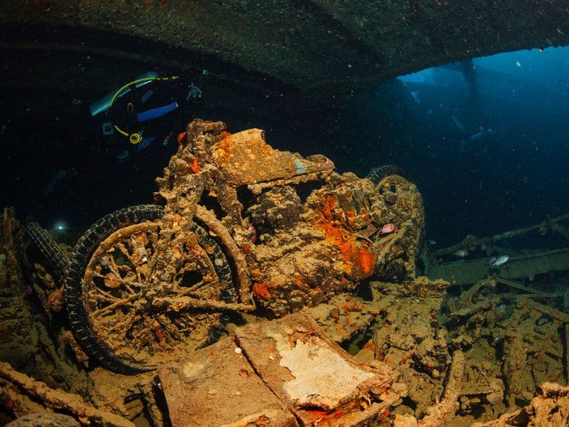 scuba diving cruises (4) cruceros de buceo