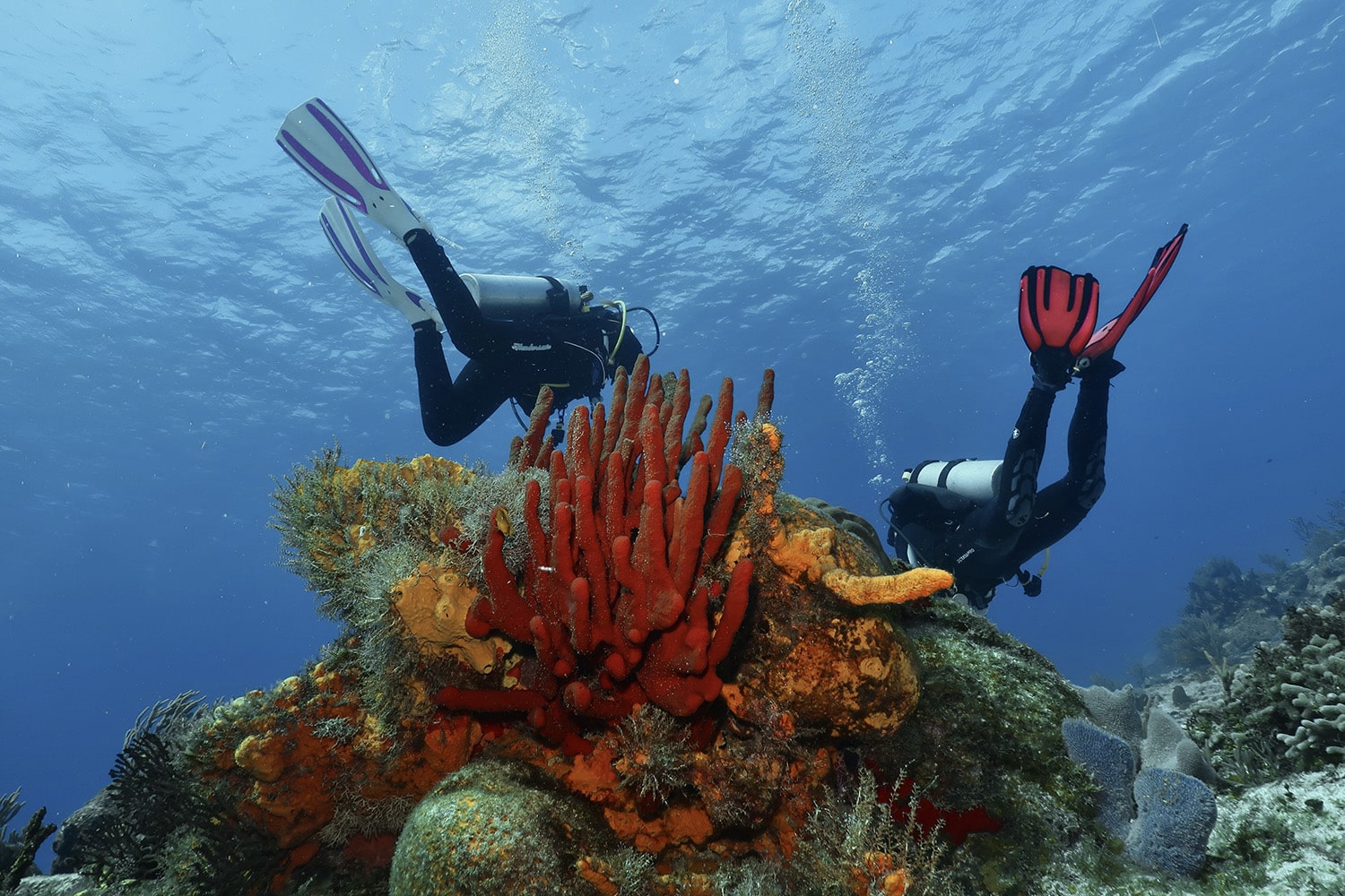 The Scuba Snobs' Dive Etiquette Tip of the Week Tip #8: Use a dive
