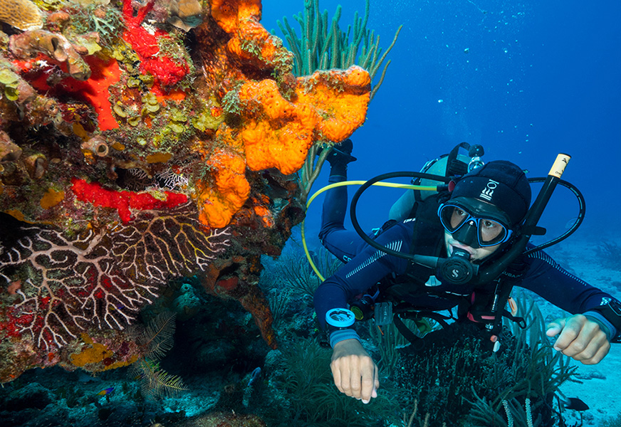 scuba diving tour packages