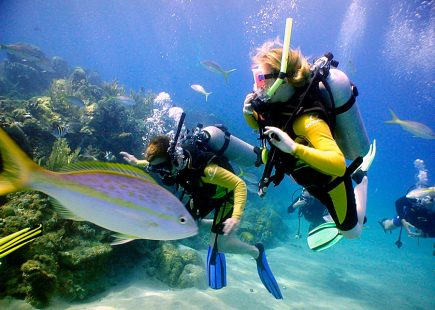 10 Scuba Diving Rules You Should Know If You Are A Beginner