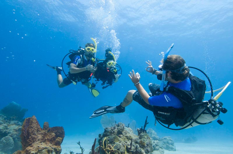 Seguridad En El Buceo: Todo Lo Que Debes Saber Sobre Ella | Dressel Divers