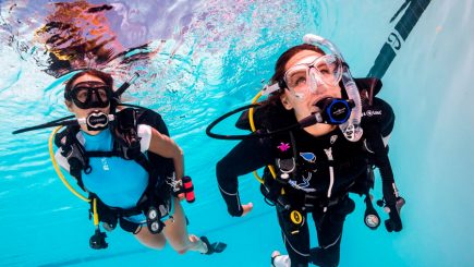 40 Scuba Diving Terms to Speak As a Pro - Dressel Divers