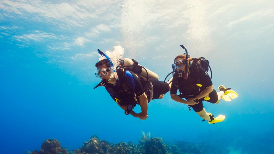 40 Scuba Diving Terms to Speak As a Pro - Dressel Divers