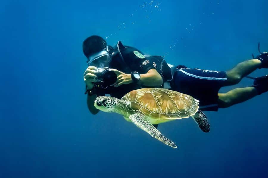 scuba diving with turtles- snorkeling with turtles - buceo con tortugas - snorkel con tortugas (7)